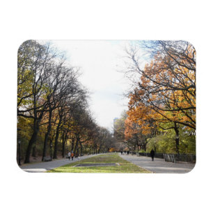 Magnet Flexible Autumn Leaves Riverside Park New York City NYC