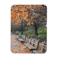 Autumn Leaves Riverside Park New York City NYC