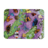 Magnet Flexible Aventure 2011 (Horizontal)