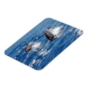 Magnet Flexible Aventure dauphin (Côté Gauche)