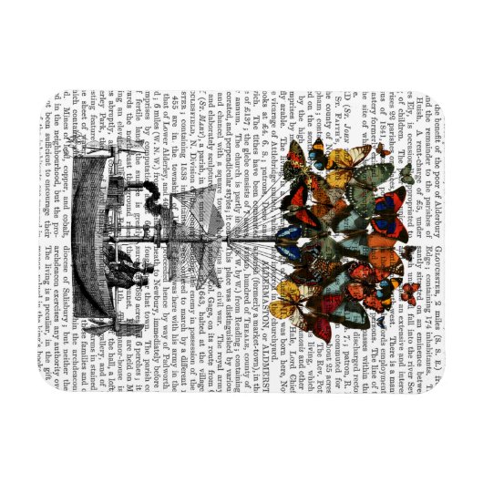 Magnet Flexible Avion papillon (Horizontal)