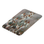 Magnet Flexible Avoine Mûre (Avena Sativa) Gros Plan. Ceres, Bolan (Côté Gauche)