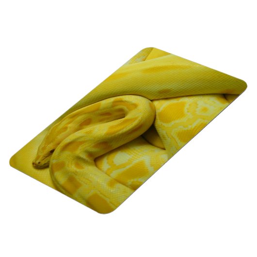 Magnet Flexible Awesome Yellow Burmese Python (Côté Gauche)