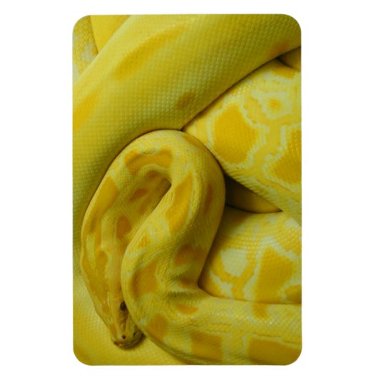 Magnet Flexible Awesome Yellow Burmese Python (Vertical)