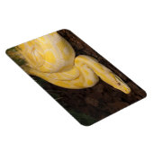 Magnet Flexible Awesome Yellow Burmese Python (Côté Droit)