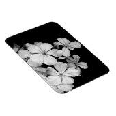 Magnet Flexible b&w carte postale (Côté Droit)