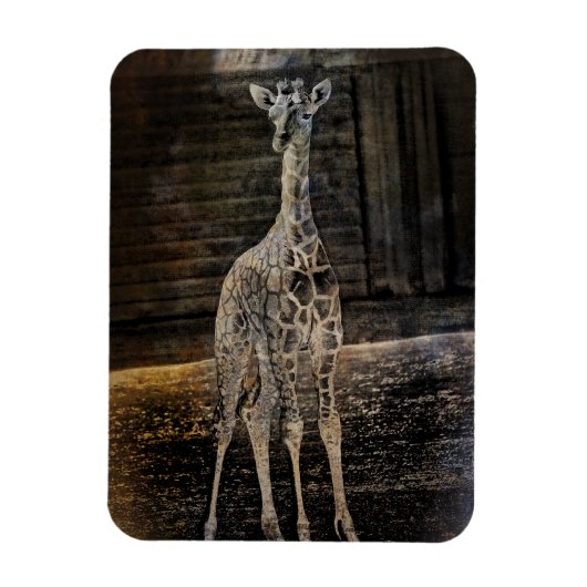 Magnet Flexible Baby Giraffe (Vertical)