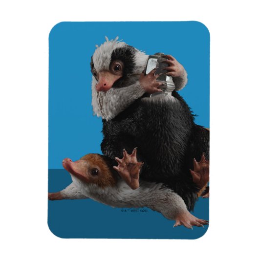 Magnet Flexible Baby Nifflers Find A Prize (Vertical)