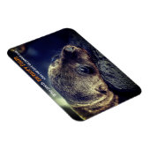 Magnet Flexible Baby Sea Lion (Côté Droit)