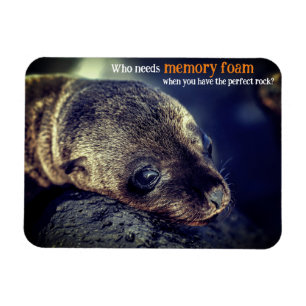 Magnet Flexible Baby Sea Lion