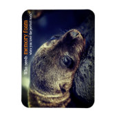Magnet Flexible Baby Sea Lion (Vertical)