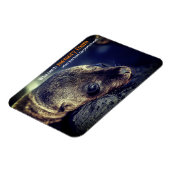 Magnet Flexible Baby Sea Lion (Côté Gauche)