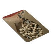 Magnet Flexible Baby Turtle Hatching (Côté Droit)
