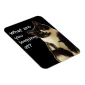 Magnet Flexible Badass Cats "Que regardez-vous ?" (Côté Droit)