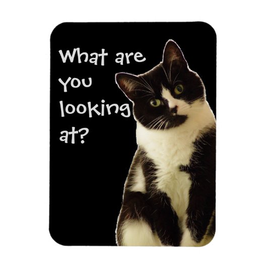 Magnet Flexible Badass Cats "Que regardez-vous ?" (Vertical)