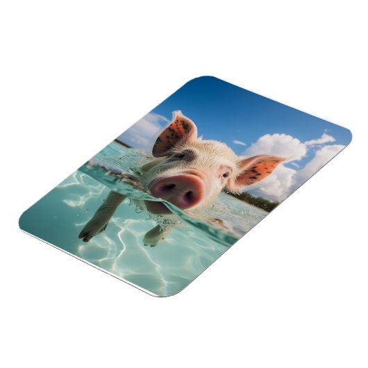 Magnet Flexible Bahamas Baignade (Côté Gauche)