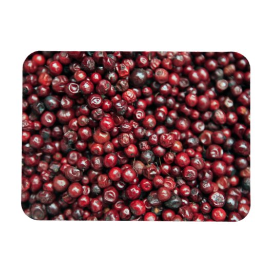 Magnet Flexible Baies rouges de l'Himalaya (Horizontal)