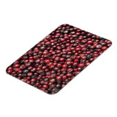 Magnet Flexible Baies rouges de l'Himalaya (Côté Gauche)