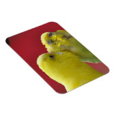Magnet Flexible Baisez les Budgies ! (Côté Droit)
