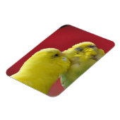 Magnet Flexible Baisez les Budgies ! (Côté Gauche)