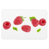 Magnet Flexible Baisse des framboises (Horizontal)