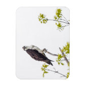 Magnet Flexible Balbuzard fixe (Vertical)