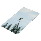 Magnet Flexible Balbuzard pêcheur 9028 (Côté Gauche)