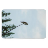 Magnet Flexible Balbuzard pêcheur 9028 (Horizontal)