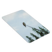 Magnet Flexible Balbuzard pêcheur 9028 (Côté Droit)