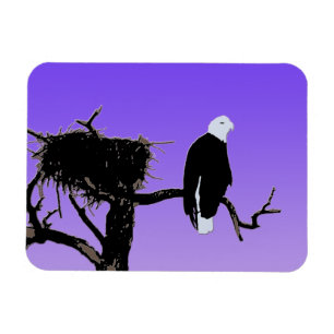 Magnet Flexible Bald Eagle at Sunset - Art original de la faune