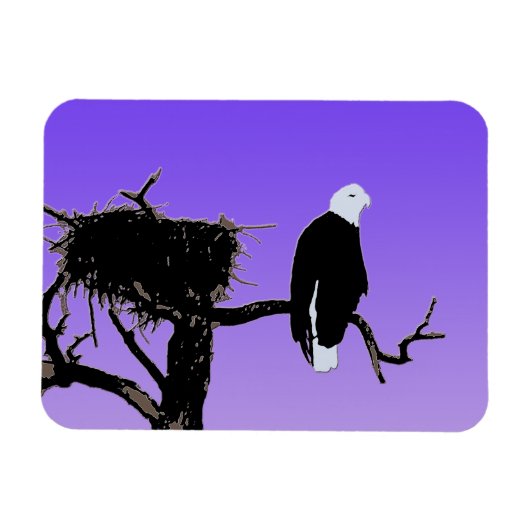 Magnet Flexible Bald Eagle at Sunset - Art original de la faune (Horizontal)