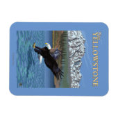 Magnet Flexible Bald Eagle Diving - West Yellowstone, MT (Horizontal)