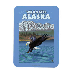 Magnet Flexible Bald Eagle Diving - Wrangell, Alaska