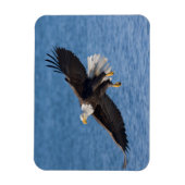 Magnet Flexible Bald eagle in flight (Vertical)