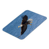 Magnet Flexible Bald eagle in flight (Côté Gauche)