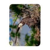 Magnet Flexible Bald Eagle quittant le nid (Vertical)