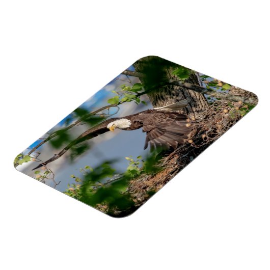 Magnet Flexible Bald Eagle quittant le nid (Côté Gauche)