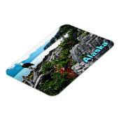 Magnet Flexible Bald Eagle Sur La Côte De L'Alaska (Côté Gauche)