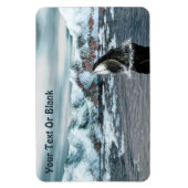 Magnet Flexible Baleine boréale (Vertical)