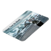 Magnet Flexible Baleine boréale (Côté Gauche)