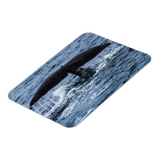 Magnet Flexible Baleine de Sperm (Côté Gauche)