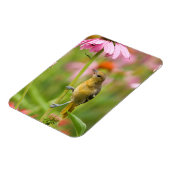 Magnet Flexible Baltimore Oriole (Côté Gauche)