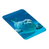 Magnet Flexible Baluga (Côté Droit)