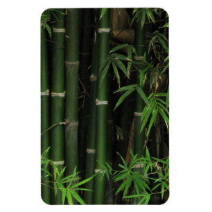 Magnet Flexible Bambou... Fao Rai, Nong Khai, Isaan, Thaïlande