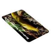 Magnet Flexible Banana Slug (Côté Droit)
