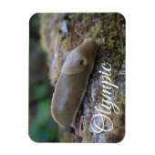 Magnet Flexible Banana Slug sur Mossy Log Parc National Olympique (Vertical)