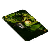 Magnet Flexible Bananaquit Bird Mange Photographie tropicale (Côté Droit)