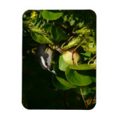 Magnet Flexible Bananaquit Bird Mange Photographie tropicale (Vertical)