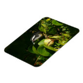 Magnet Flexible Bananaquit Bird Mange Photographie tropicale (Côté Gauche)