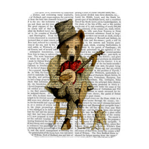 Magnet Flexible Banjo Bear